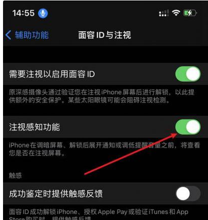 九湖镇苹果14维修网点分享iPhone14注视感知功能有什么用 