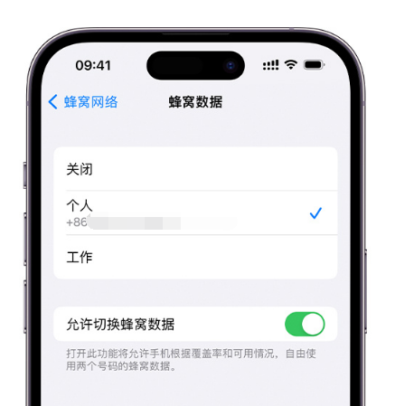 九湖镇苹果维修服务分享如何在iPhone上使用双卡 